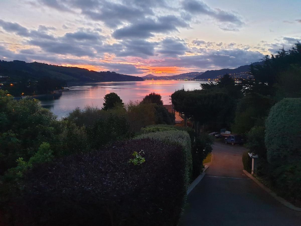 Tui2 Macandrew Bay Dunedin Bagian luar foto